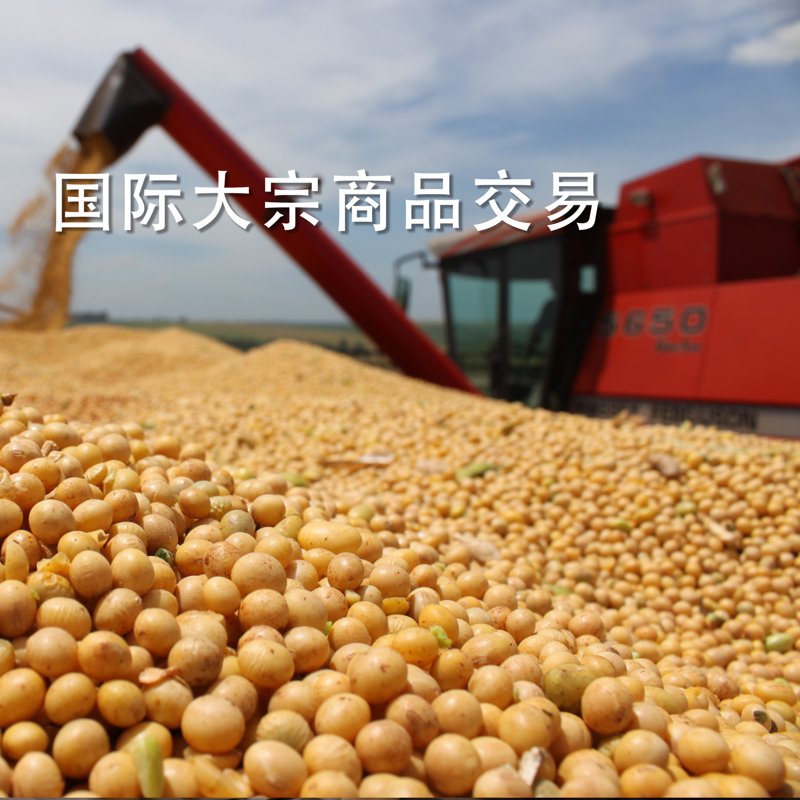 优化供应链管理，提升企业竞争力